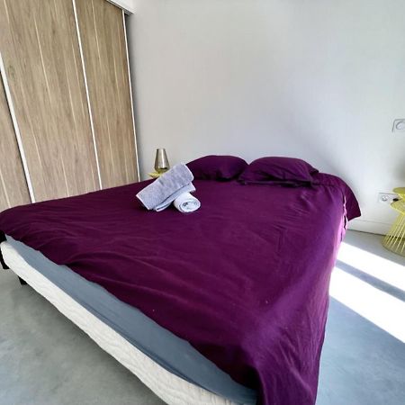Bel Ecrin T2 35M2 Gare/Centre Apartment Grenoble Ngoại thất bức ảnh
